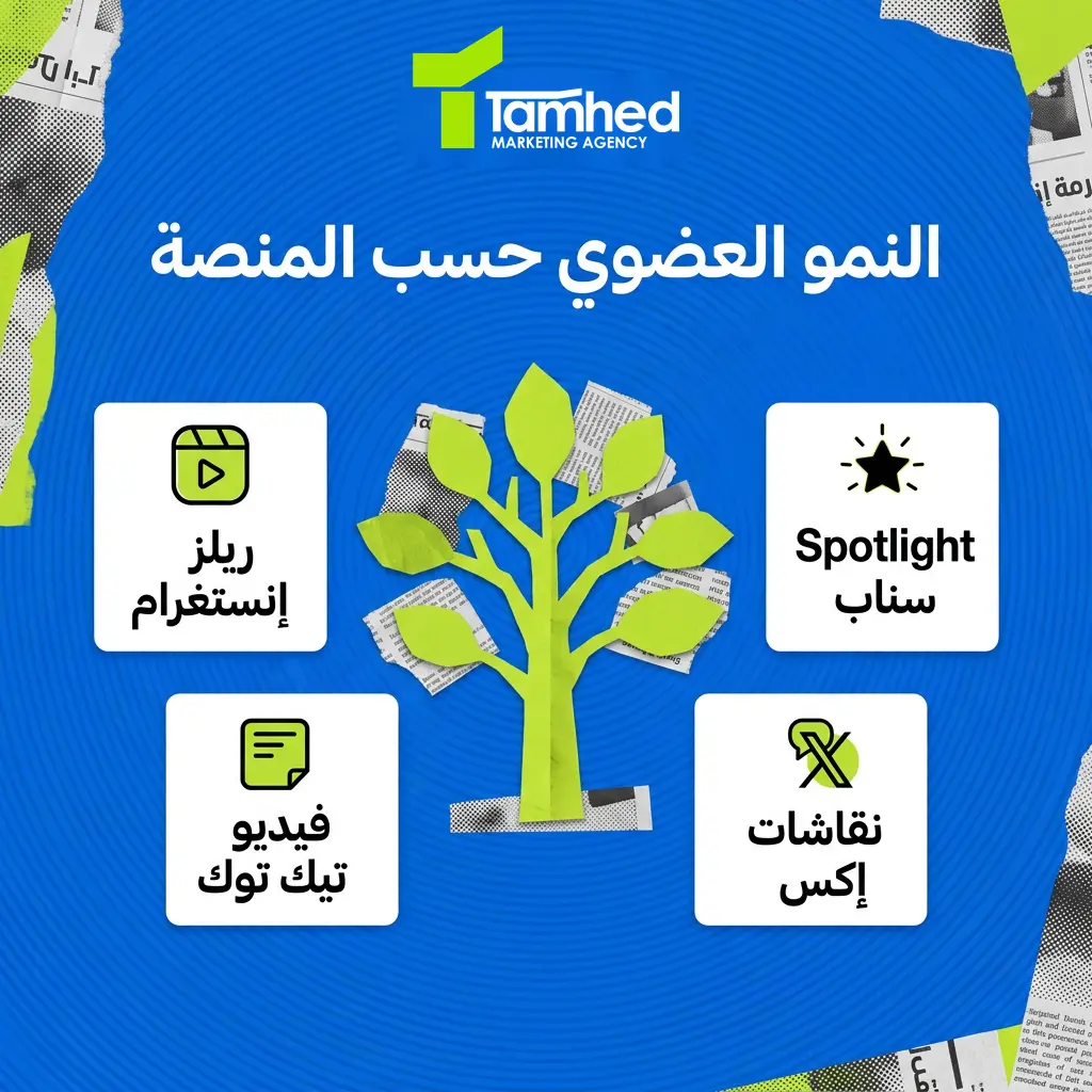زيادة المتابعين بشكل عضوي
